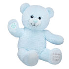 Personalized Baby Blue Teddy Bear